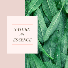 Nature as Essence