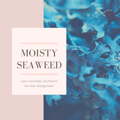 Categorie moisty seaweed