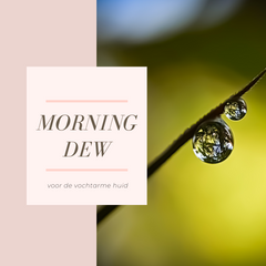 categorie morning dew